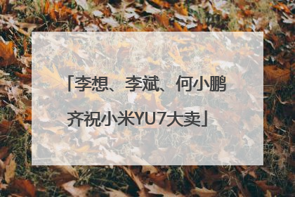 李想、李斌、何小鹏齐祝小米YU7大卖