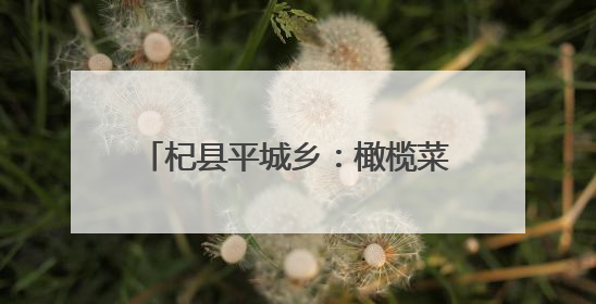 杞县平城乡：橄榄菜产业铺就富民新道路