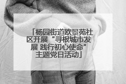 杨园街道欧景苑社区开展“寻根城市发展 践行初心使命”主题党日活动