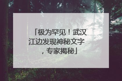 极为罕见！武汉江边发现神秘文字，专家揭秘