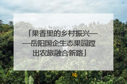 果香里的乡村振兴——岳阳国企生态果园蹚出农旅融合新路