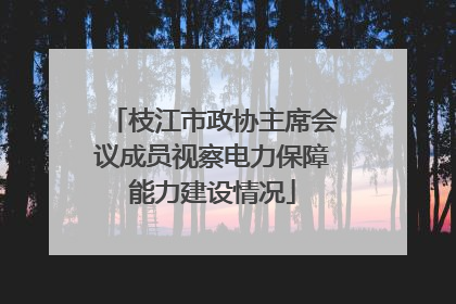 枝江市政协主席会议成员视察电力保障能力建设情况