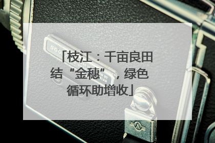 枝江：千亩良田结“金穗”，绿色循环助增收