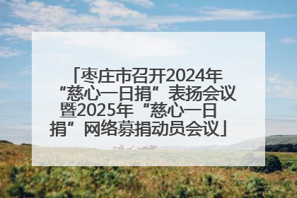 枣庄市召开2024年“慈心一日捐”表扬会议暨2025年“慈心一日捐”网络募捐动员会议