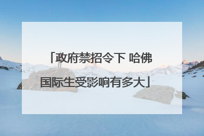 政府禁招令下 哈佛国际生受影响有多大