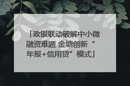 政银联动破解中小微融资难题 金塘创新“年报+信用贷”模式