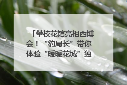 攀枝花馆亮相西博会！“豹局长”带你体验“暖暖花城”独特魅力｜西博视界
