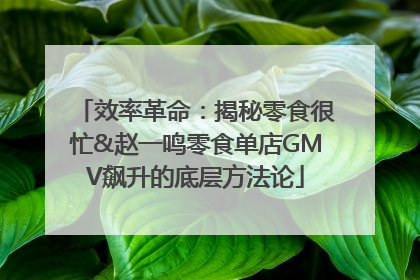 效率革命：揭秘零食很忙&赵一鸣零食单店GMV飙升的底层方法论