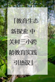 教育生态新探索 中关村三小跨龄教育实践引热议