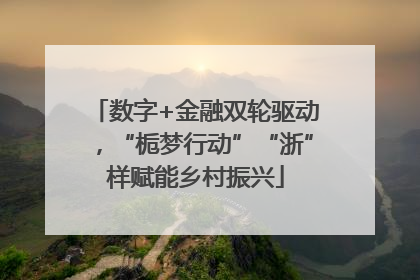 数字+金融双轮驱动，“栀梦行动”“浙”样赋能乡村振兴
