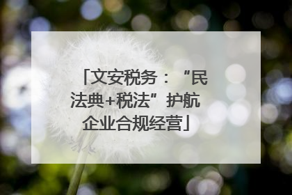 文安税务：“民法典+税法”护航企业合规经营