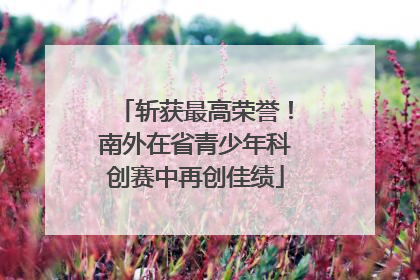 斩获最高荣誉！南外在省青少年科创赛中再创佳绩