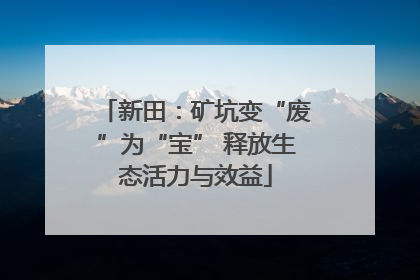 新田：矿坑变“废”为“宝” 释放生态活力与效益