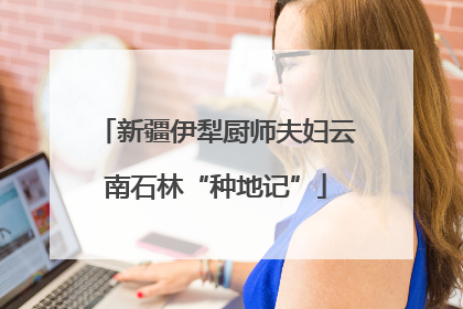 新疆伊犁厨师夫妇云南石林“种地记”