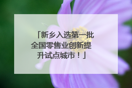 新乡入选第一批全国零售业创新提升试点城市！