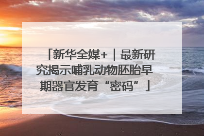 新华全媒+｜最新研究揭示哺乳动物胚胎早期器官发育“密码”