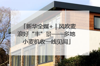 新华全媒+｜风吹麦浪好“丰”景——多地小麦机收一线见闻