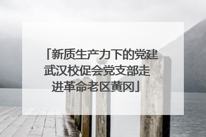 新质生产力下的党建 武汉校促会党支部走进革命老区黄冈