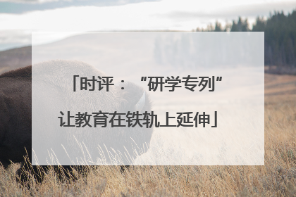 时评：“研学专列”让教育在铁轨上延伸