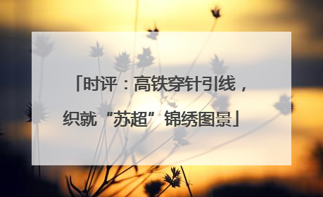 时评：高铁穿针引线，织就“苏超”锦绣图景