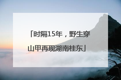 时隔15年，野生穿山甲再现湖南桂东