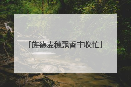 旌德麦穗飘香丰收忙