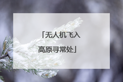 无人机飞入高原寻常处
