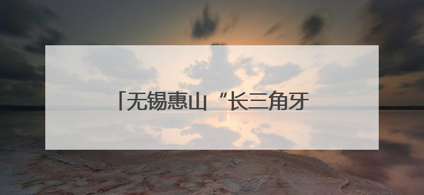 无锡惠山“长三角牙谷”建设正式启动