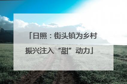 日照：街头镇为乡村振兴注入“甜”动力