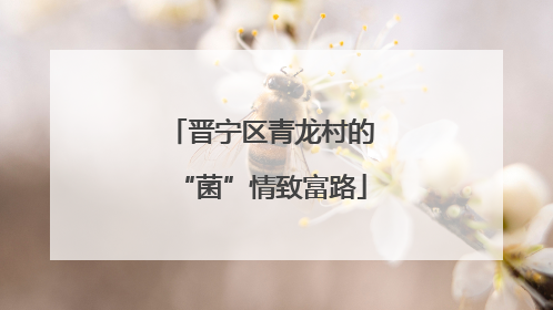 晋宁区青龙村的“菌”情致富路