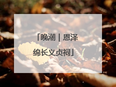 晚潮｜恩泽绵长义贞祠