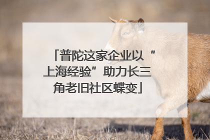 普陀这家企业以“上海经验”助力长三角老旧社区蝶变