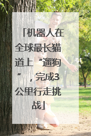 机器人在全球最长猫道上“遛狗”，完成3公里行走挑战