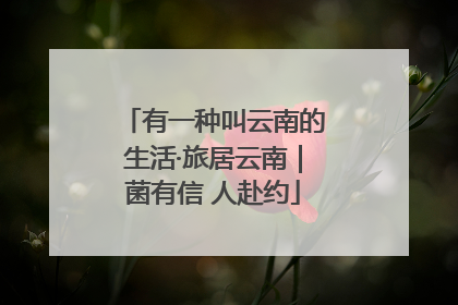 有一种叫云南的生活·旅居云南｜菌有信 人赴约