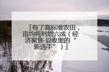 有了高标准农田，亩均纯利增六成（经济聚焦·夏收里的“新选手”）