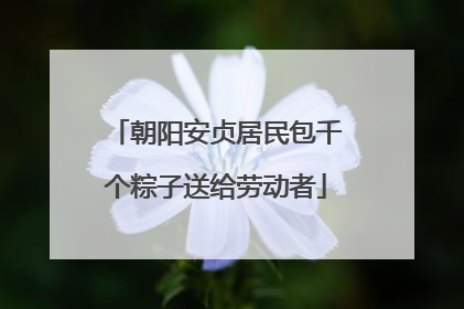 朝阳安贞居民包千个粽子送给劳动者