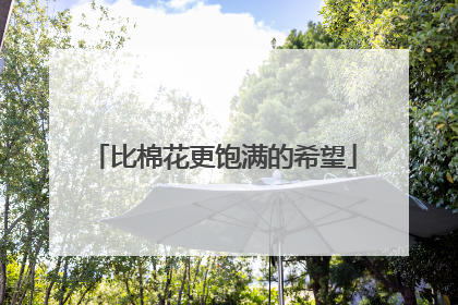 比棉花更饱满的希望