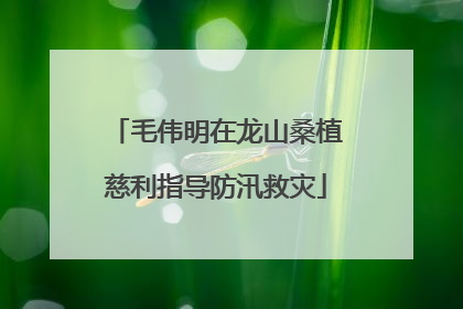 毛伟明在龙山桑植慈利指导防汛救灾