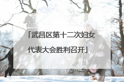 武昌区第十二次妇女代表大会胜利召开