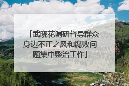 武晓花调研督导群众身边不正之风和腐败问题集中整治工作