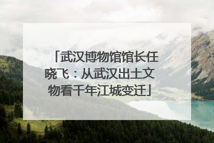 武汉博物馆馆长任晓飞：从武汉出土文物看千年江城变迁