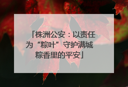 株洲公安：以责任为“粽叶”守护满城粽香里的平安