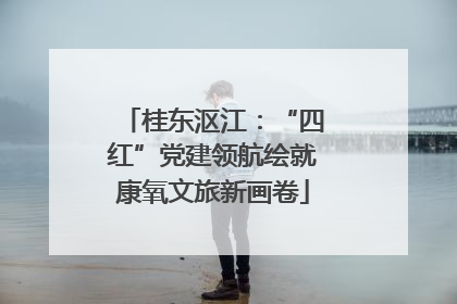 桂东沤江：“四红”党建领航绘就康氧文旅新画卷