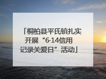 桐柏县平氏镇扎实开展“6·14信用记录关爱日”活动