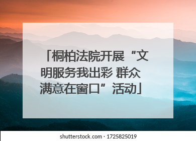 桐柏法院开展“文明服务我出彩 群众满意在窗口”活动