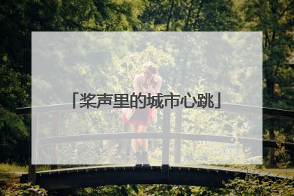 桨声里的城市心跳