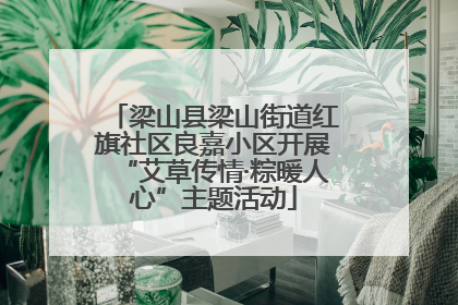 梁山县梁山街道红旗社区良嘉小区开展“艾草传情·粽暖人心”主题活动