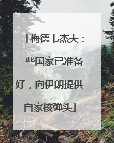 梅德韦杰夫：一些国家已准备好，向伊朗提供自家核弹头
