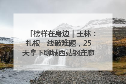 榜样在身边｜王林：扎根一线破难题，25天拿下聊城西站钢连廊“硬核”工程