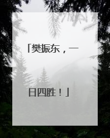 樊振东，一日四胜！